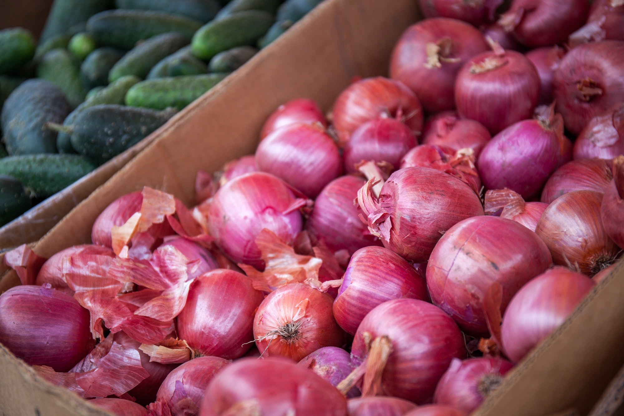 <strong>BRINGING ONIONS AND OTHER VEGETABLES INTO PHILLIPINES NEED CLEARANCES&nbsp;&nbsp;</strong>