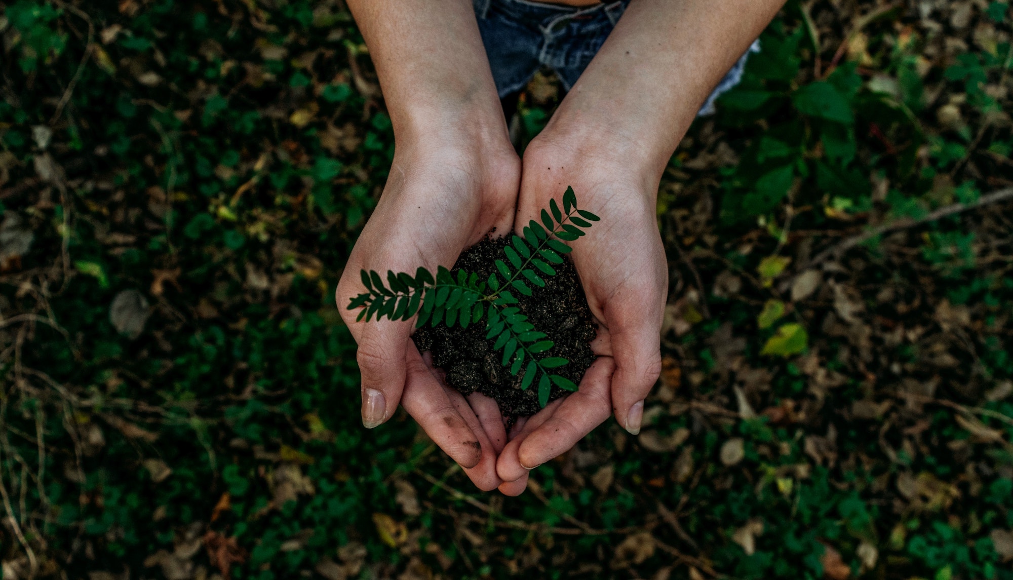 MACAU IC2 TO HOLD WORLD EARTH DAY ACTIVITIES AT ARTYZEN GRAND LAPA MACAU FOR THIRD CONSECUTIVE YEAR ON 22 APRIL MACAU IC2 TO HOLD WORLD EARTH DAY ACTIVITIES AT ARTYZEN GRAND LAPA MACAU FOR THIRD CONSECUTIVE YEAR ON 22 APRIL