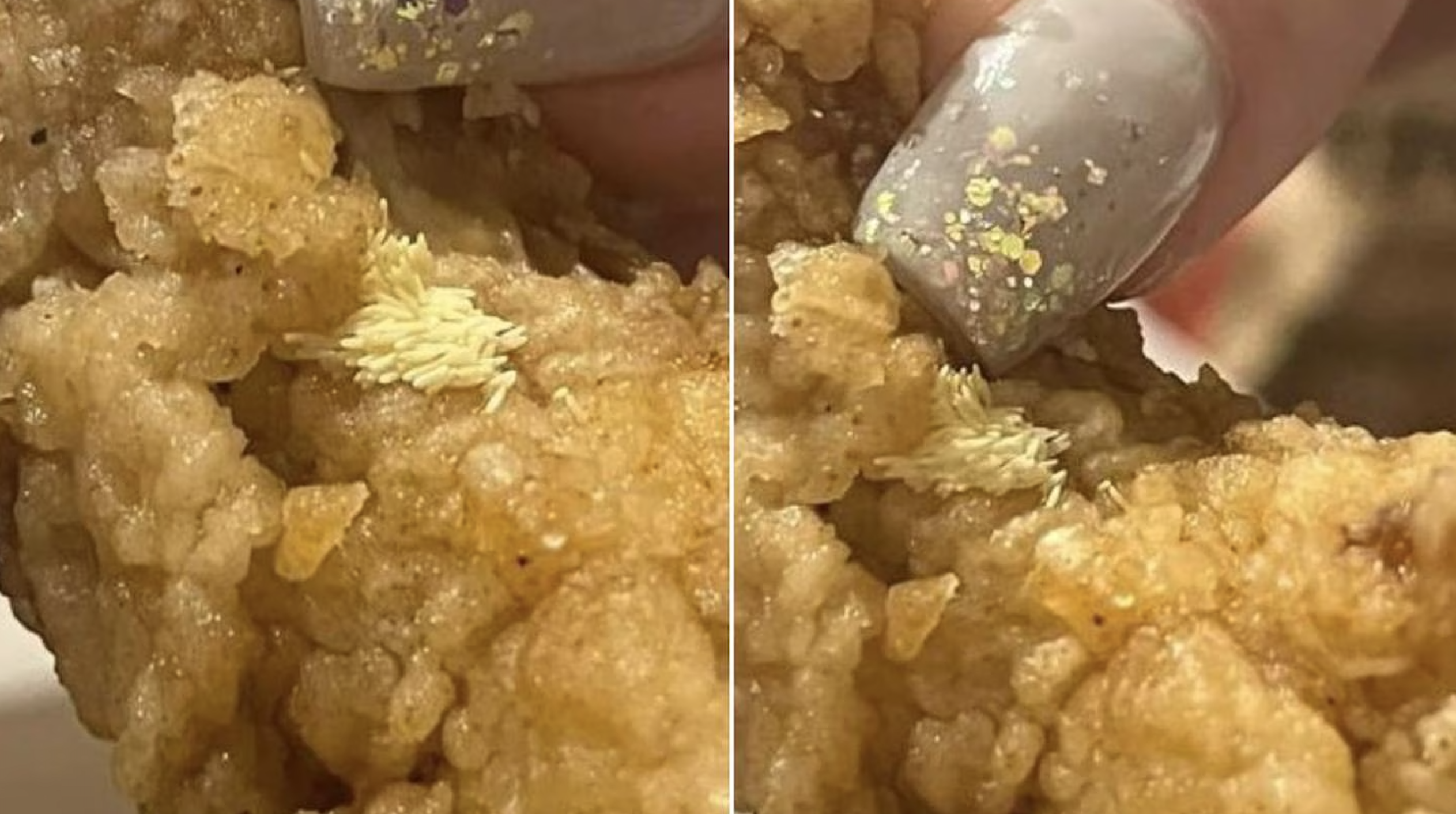 WOMAN FINDS FLY EGGS IN CHICKEN WINGS FROM KFC STORE IN NEW ZEALAND WOMAN FINDS FLY EGGS IN CHICKEN WINGS FROM KFC STORE IN NEW ZEALAND