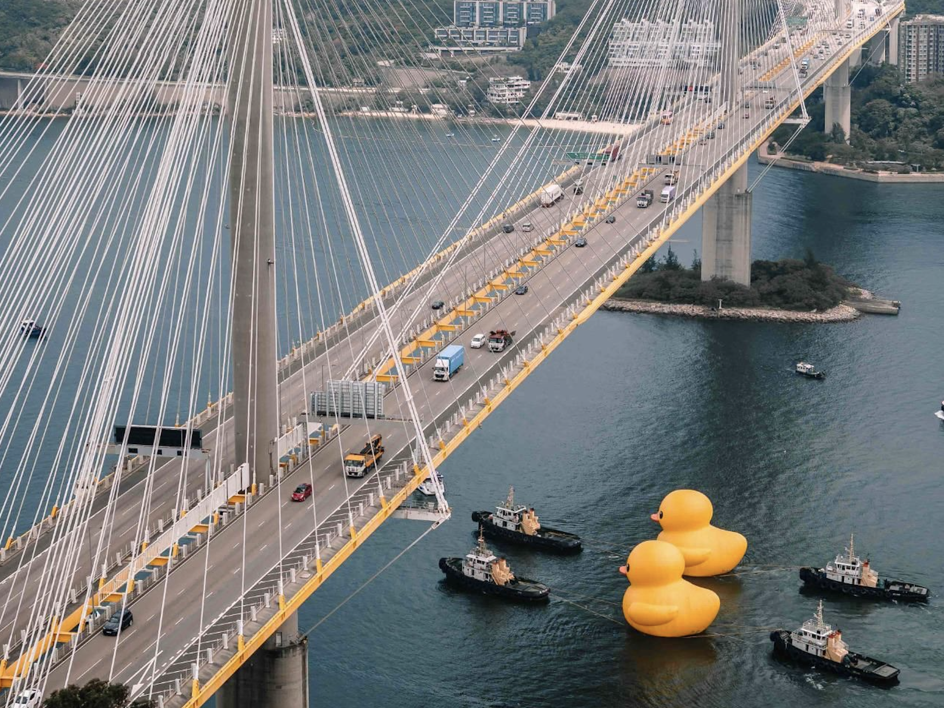 GIANT YELLOW RUBBER DUCK BY FLORENTIJN HOFMAN RETURNS TO HONG KONG WITH A FRIEND GIANT YELLOW RUBBER DUCK BY FLORENTIJN HOFMAN RETURNS TO HONG KONG WITH A FRIEND