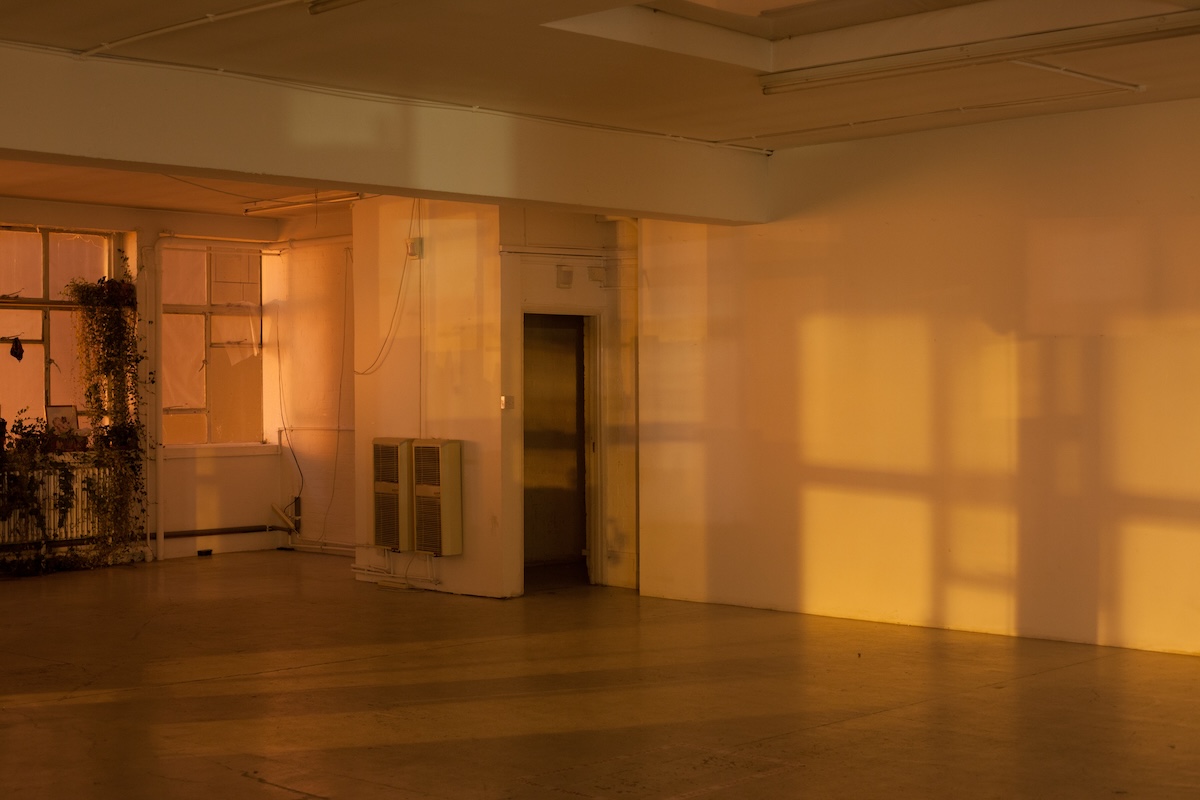 GERMAN LENSMAN WOLFGANG TILLMANS TO HAVE SECOND SOLO EXHIBITION AT DAVID ZWIRNER HONG KONG GALLERY GERMAN LENSMAN WOLFGANG TILLMANS TO HAVE SECOND SOLO EXHIBITION AT DAVID ZWIRNER HONG KONG GALLERY