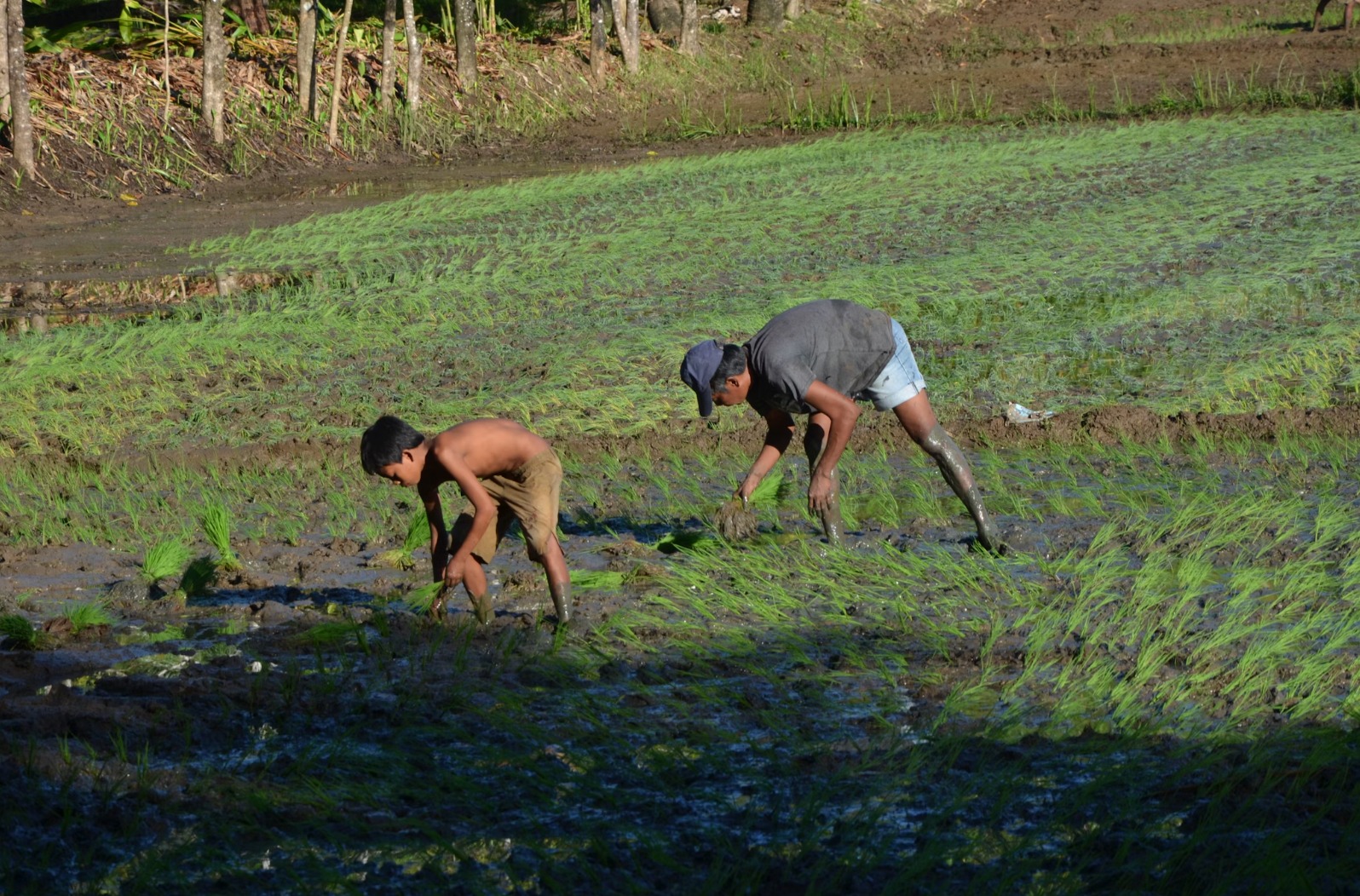 TUMAAS ANG UNEMPLOYMENT RATE HANGGANG 4 NA PORSYENTO NOONG ABRIL DAHIL SA PAGKAWALA NG TRABAHO SA MGA KABUKIRAN