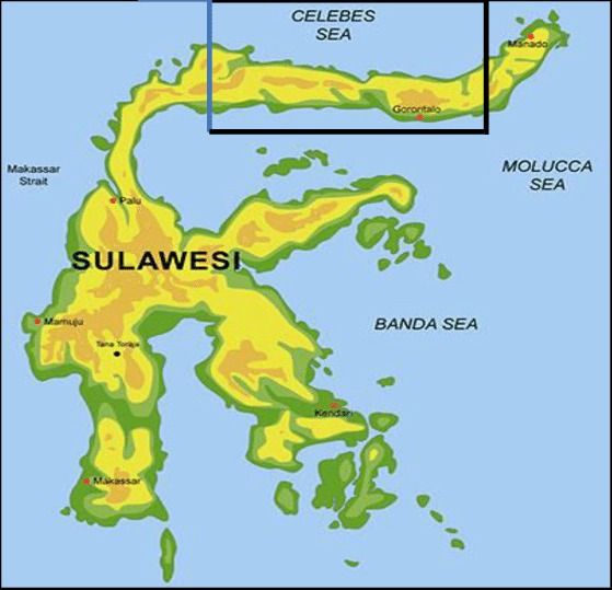 KARYA SENI TERTUA DI DUNIA DITEMUKAN DI GUA DI SULAWESI SELATAN