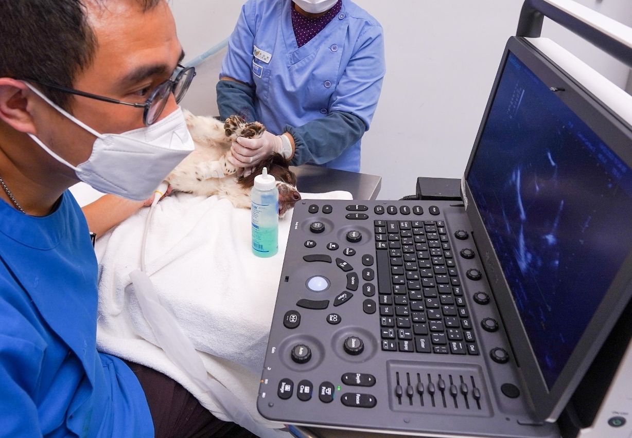 OVER 100 VETS RECEIVE PROFESSIONAL ACCREDITATION CERTIFICATIONS 