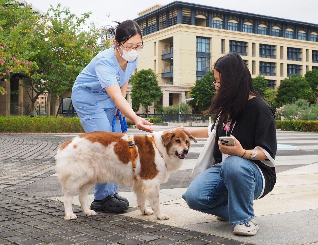IAM, ANIMAL RIGHTS GROUPS CONTINUE TO ORGANISE ANIMAL PROTECTION ACTIVITIES AND PROMOTE ANIMAL ADOPTION THIS MONTH IAM, ANIMAL RIGHTS GROUPS CONTINUE TO ORGANISE ANIMAL PROTECTION ACTIVITIES AND PROMOTE ANIMAL ADOPTION THIS MONTH