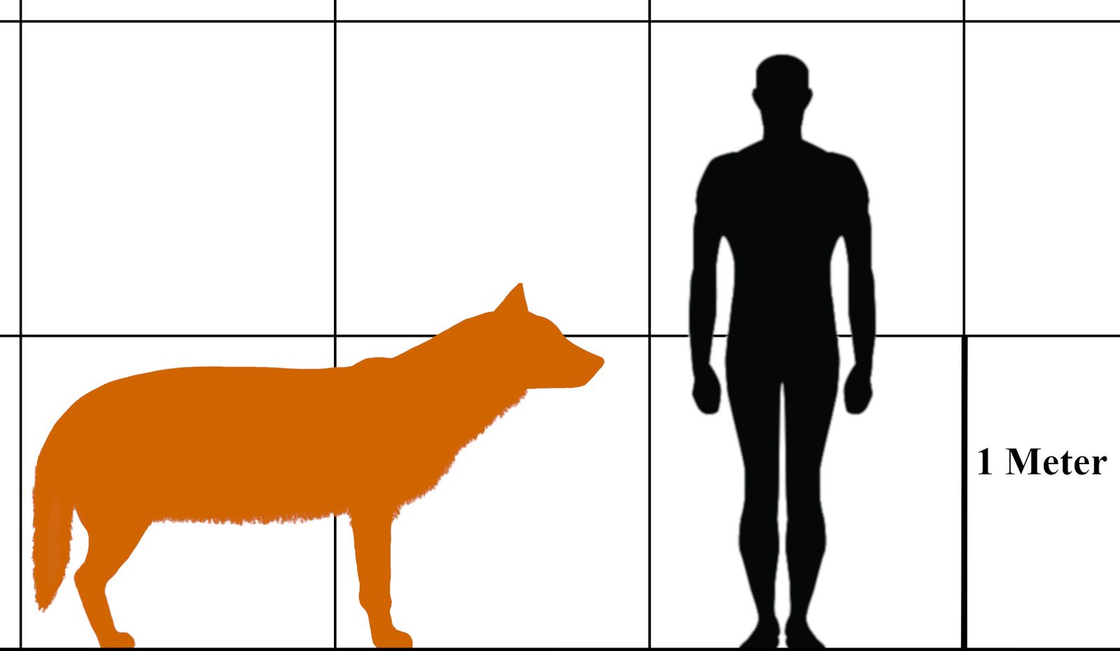 SCIENTISTS BRING BACK EXTINCT DIRE WOLF DIED OUT ABOUT 12,500 YEARS AGO SCIENTISTS BRING BACK EXTINCT DIRE WOLF DIED OUT ABOUT 12,500 YEARS AGO