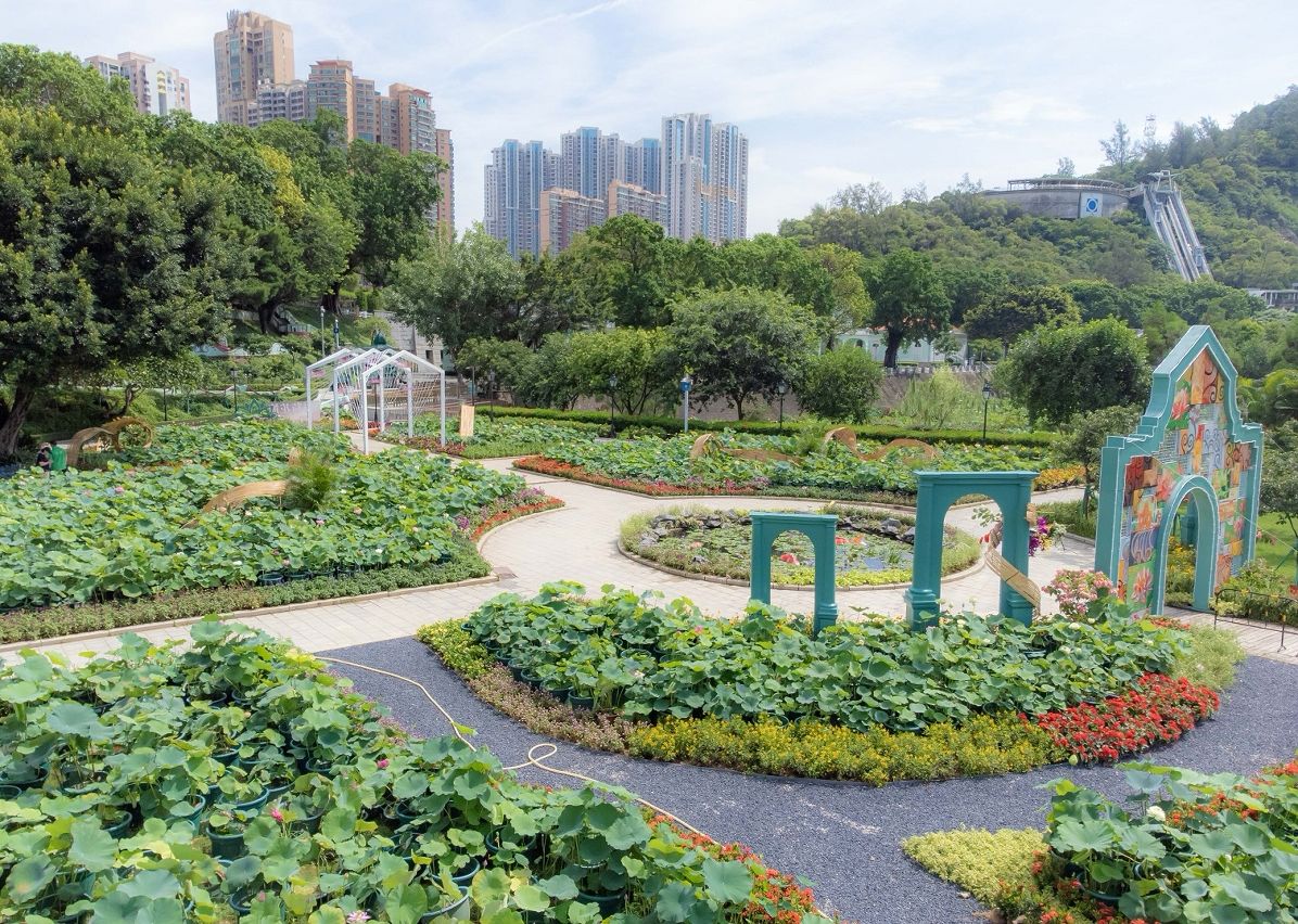 TAIPA’S AVENIDA DA PRAIA FLOWER EXHIBITION VENUE GETS A MAKEOVER 