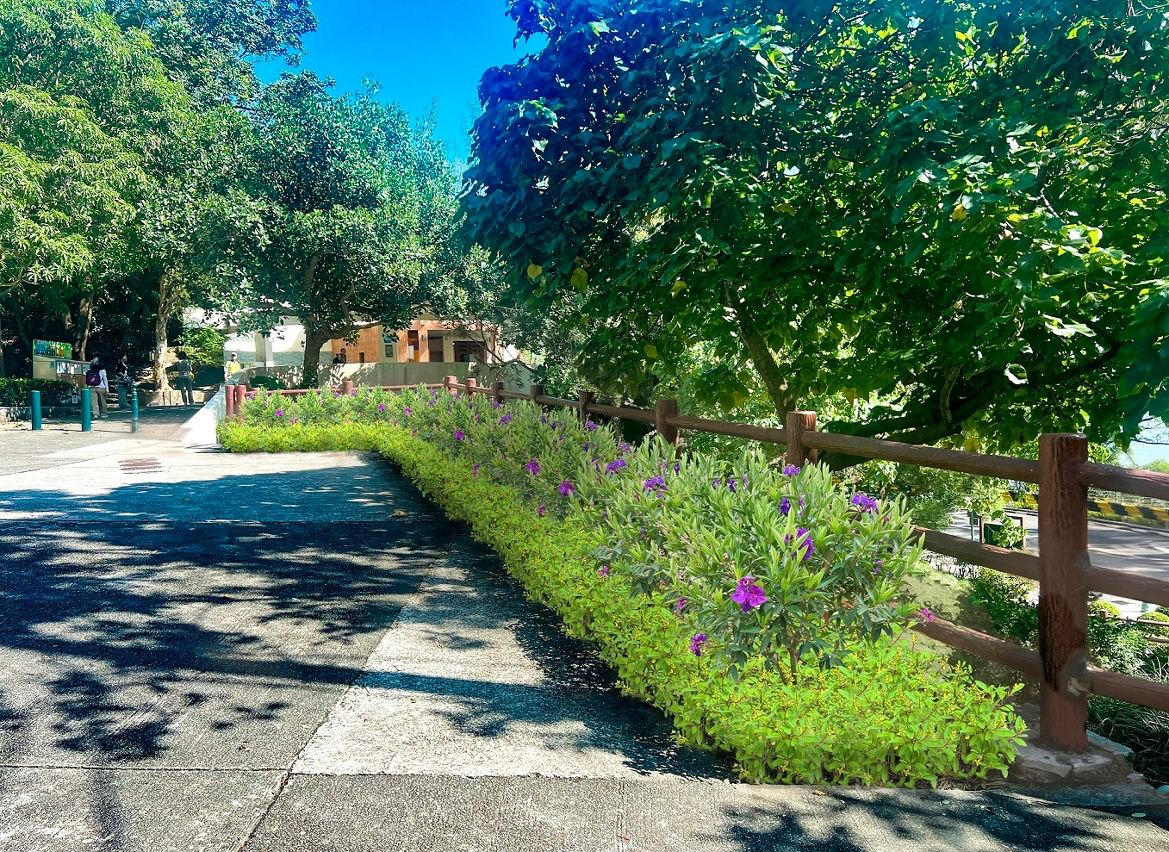 IAM TO LAUNCH OPTIMISATION WORKS IN SOME GREEN AREAS AT HAC SA RESERVOIR NATURAL PARK FOR CREATION OF BUTTERFLY-FRIENDLY GARDEN 