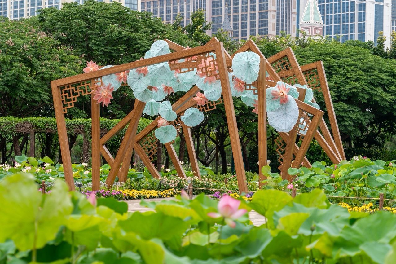 CITY’S 26TH LOTUS FLOWER FESTIVAL KICKS OFF CITY’S 26TH LOTUS FLOWER FESTIVAL KICKS OFF