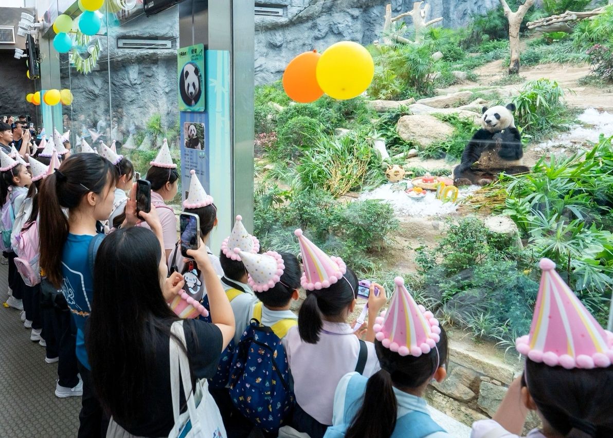 LOCAL STUDENTS JOIN 10TH BIRTHDAY CELEBRATION OF GIANT PANDAS ‘JIAN JIAN’ AND ‘KANG KANG’ AT SEAC PAI VAN PARK 