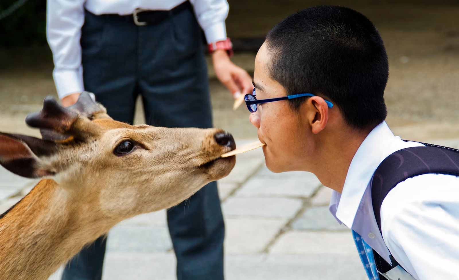 PHOTOGRAPHY CONTEST CELEBRATING WORLD ANIMAL DAY KICKS OFF PHOTOGRAPHY CONTEST CELEBRATING WORLD ANIMAL DAY KICKS OFF