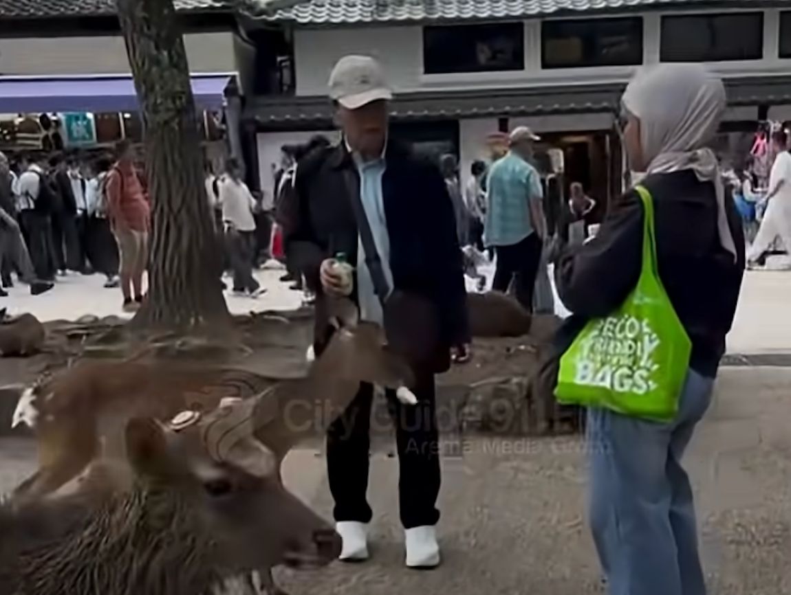 WNI DITEGUR WARGA LOKAL DI JEPANG ATAS DUGAAN BERI MAKAN PLASTIK KE RUSA DI NARA PARK